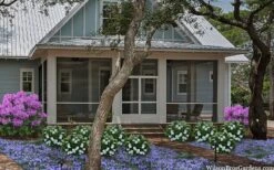 Snow Globe Gardenia - 1 Gallon Pot -Deals Sapling Whisper Store gardenia jasminoides snow globe 2 1